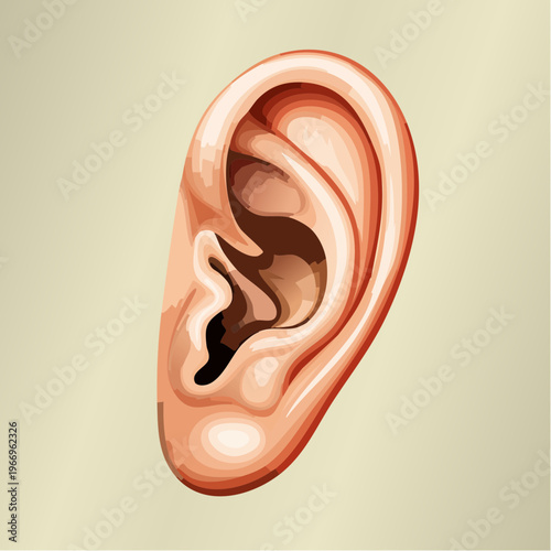 Detailed view of a human ear on a plain background showing structure and form in simple design Generative AI