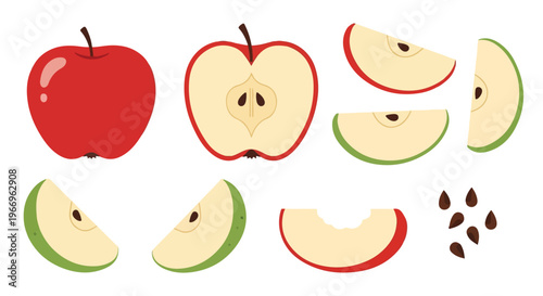 collection of red and green apples, featuring a whole fruit, a halved core, various wedges, and individual seeds. The crisp, clean design is an excellent asset for school lunch infographics,