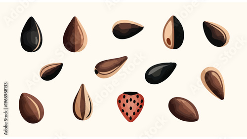 Assorted Seeds & Strawberry Illustration - Food Ingredients, Baking, Health Food