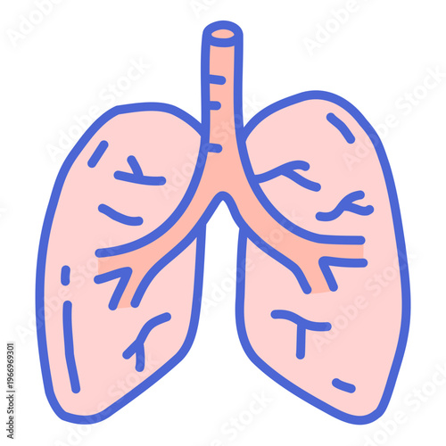 Human Lungs Anatomy Illustration: A detailed and visually clear illustration of human lungs, highlighting the intricate structure and functionality of the respiratory system.
