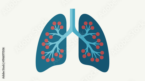 Illustration of the Human Respiratory System and Lungs with Alveoli Represented as Small Red Dots