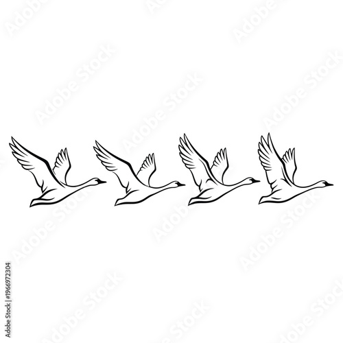 Four geese flying in a synchronized formation across a clear sky