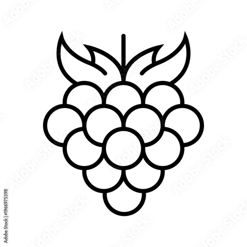 Blackberry fruit icon. Food and berries line symbol. Black and white.