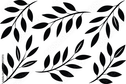 Black silhouette of leafy branches on white background