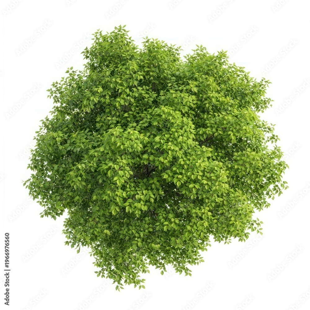 Fototapeta premium Lush green bush top view