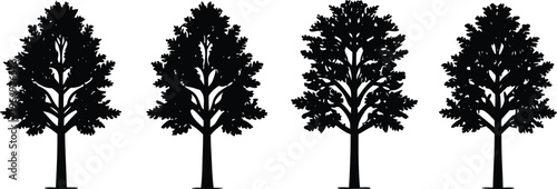 Four black tree silhouettes on white background