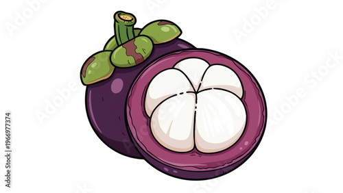 Fresh Mangosteen Fruit Illustration | Tropical Exotic Produce