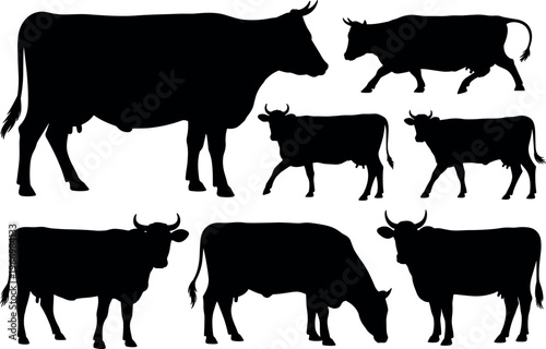 Cow silhouettes collection in different poses, farm animals, livestock and agriculture concept, rural dairy farming isolated on white background