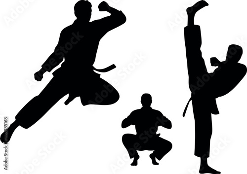 Martial arts silhouettes in action poses, karate and combat training, strength, discipline and sport concept isolated on white background