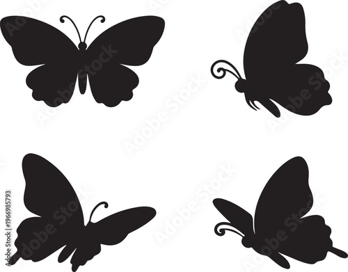 Colorful Butterfly Vector Illustration Isolated on White Background