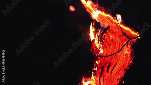 Burning smoldering tree trunk on a black background. Beautiful photograph of burning wood.