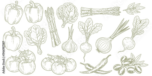 Rustic Hand-Drawn Vegetable Sketch Collection Organic Garden Produce for Healthy Cooking and Culinary Design Resources