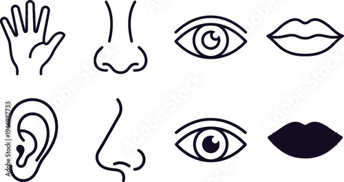 Human Senses Icons: Five Senses Set in Line Art Style