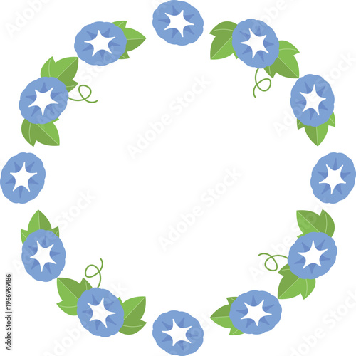 アサガオのフレーム