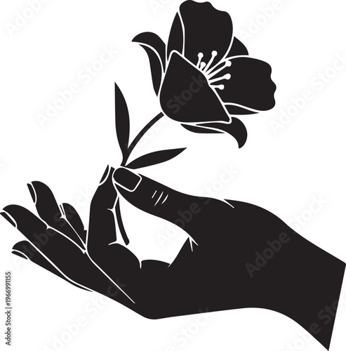 Hand holding flower silhouette vector illustration line art on transparent background elegant