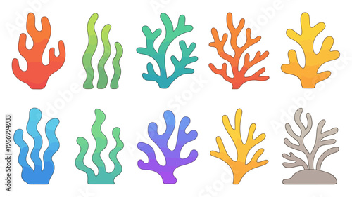 Colorful coral reef elements in various shapes and sizes  ocean decor