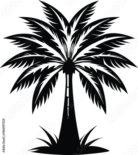 Black silhouette of a palm tree on white background