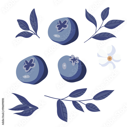 Set of stylized blueberry elements including berries, leaves, and a small flower, isolated on a light background. Clean vector collection in soft blue tones, perfect for packaging, patterns, and brand