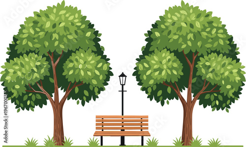 Park scene with trees bench and street lamp outdoor nature landscape vector illustration isolated on white background