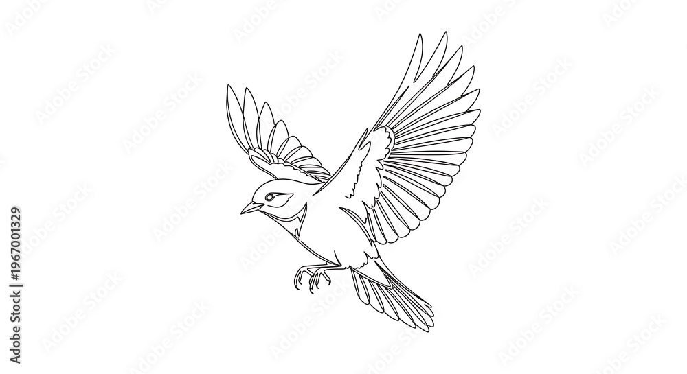 Obraz premium Dove and Eagle Vector Illustration Flying Birds Silhouette