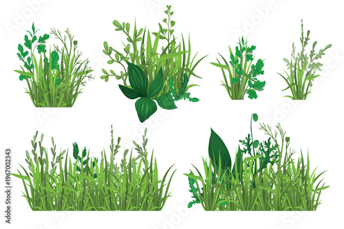 Green Grass Realistic Set