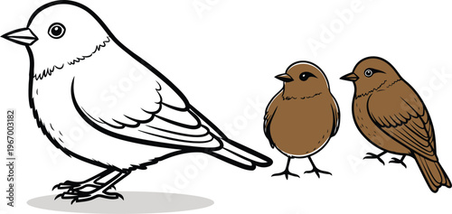 Three birds illustration a detailed line drawing of finches in a natural setting