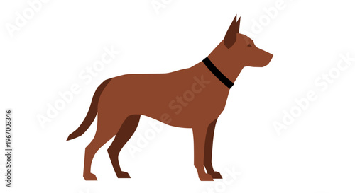 Brown dog standing profile view 1.