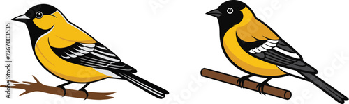 Two american goldfinches perched on branches displaying vibrant plumage