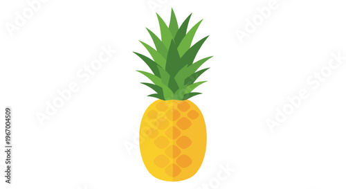 Fresh Pineapple Fruit Illustration.