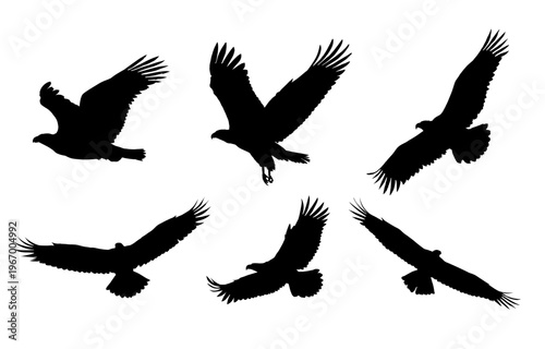 Flying eagle silhouette set - vector illustration	