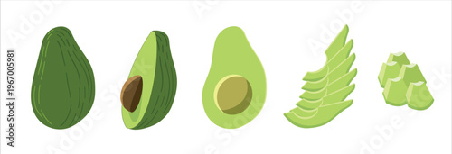 Avocado illustration set featuring whole fruit, halves with seed, sliced pieces. Flat cartoon vector style isolated on white background.