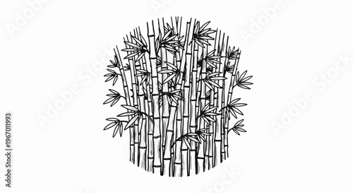 A cluster of stylized bamboo stalks with leaves, drawn in black ink