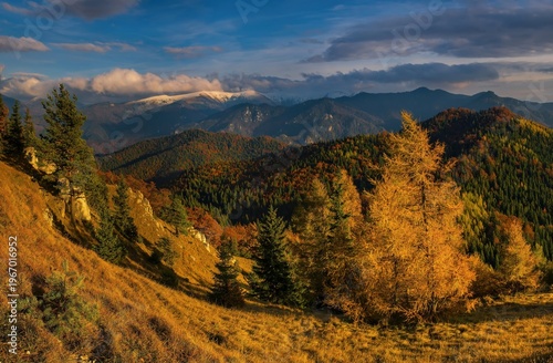 Beautiful autumn mountain scenery with vibrant forest, golden larch trees and soft sunlight over rolling hills and distant peaks. Ideal for travel, nature, seasonal and environmental themes.