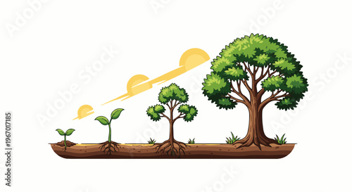 Illustration of a tree's growth cycle from seedling to maturity under sunlight