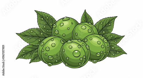 Cluster of ripe green fruits glistening with fresh water droplets