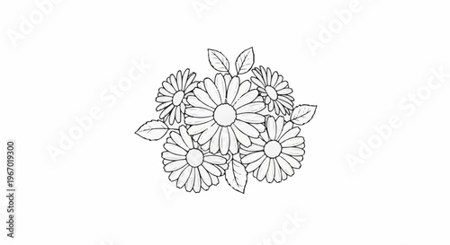 A monochrome drawing of a cluster of daisies with leaves