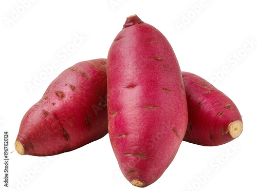 Photos Three fresh red-skinned sweet potatoes, raw organic root vegetables isolated on