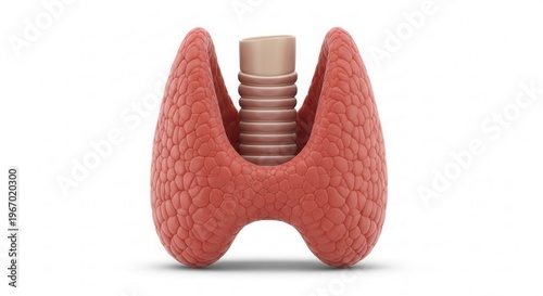 3D rendering of a human thyroid gland with a metallic screw-like implant in the center, isolated on a white background, symbolizing medical technology.