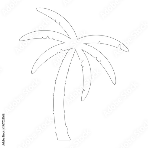 Line Coconut tree illustration cartoon cute