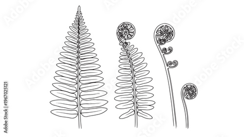 Ultra-wide angle lens with a reflective outer surface, perfect for capturing expansive landscapes and architectural shots.