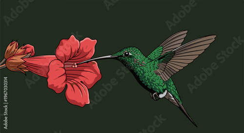 Green hummingbird sips nectar from a red trumpet-shaped flower