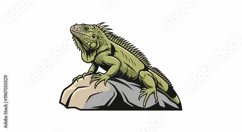 Green iguana perched on a gray and tan rock