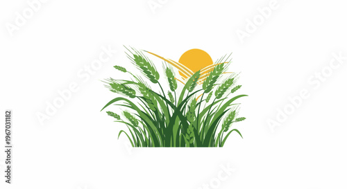 Green wheat stalks against a bright orange sun with stylized rays