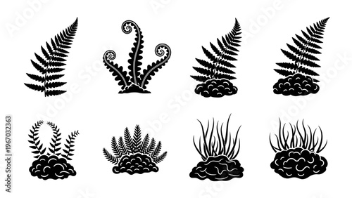 Collection of Black Silhouettes of Different Fern and Plant Fronds and Sprouts in Various Shapes