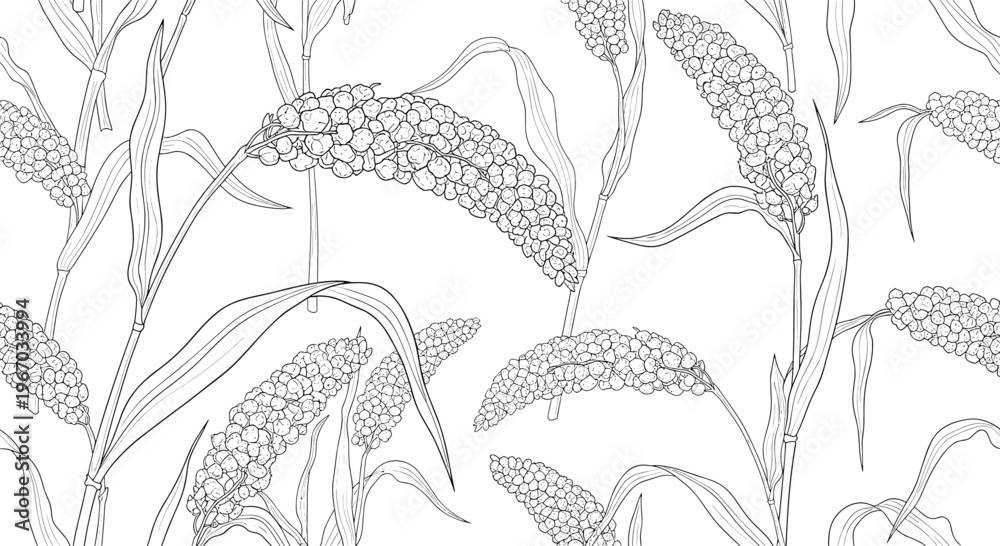 Naklejka premium Detailed black and white seamless pattern of sorghum ears and leaves in a hand drawn engraving style suitable for farm product packaging.