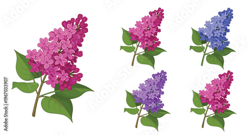 Collection of lilac flower branches in various shades of purple, blue, and pink with green leaves isolated on a white background.