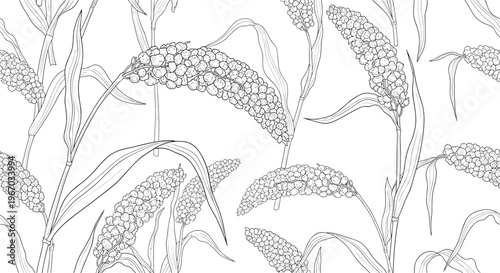 Detailed black and white seamless pattern of sorghum ears and leaves in a hand drawn engraving style suitable for farm product packaging.