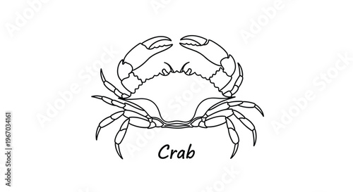Minimalist black and white line drawing of a crab with large claws is shown with the word crab written underneath on a white background.