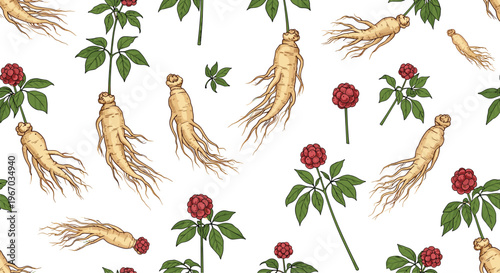 Seamless pattern with hand drawn ginseng roots green leaves and red berries on white background for medical wellness and health products design.