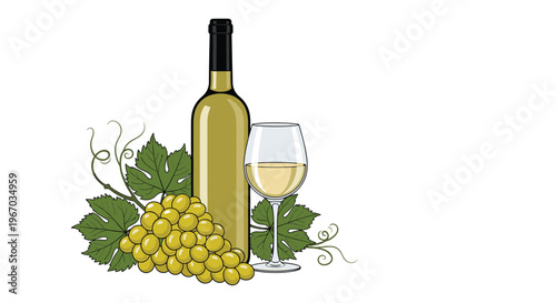 Bottle of white wine with glass and bunch of fresh green grapes with leaves isolated on white background for vineyard and winery concept.